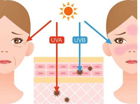 紫外線の種類（UVA波とUVB波が肌に与える影響）